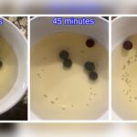 How Get Rid of Gnats in Kitchen?