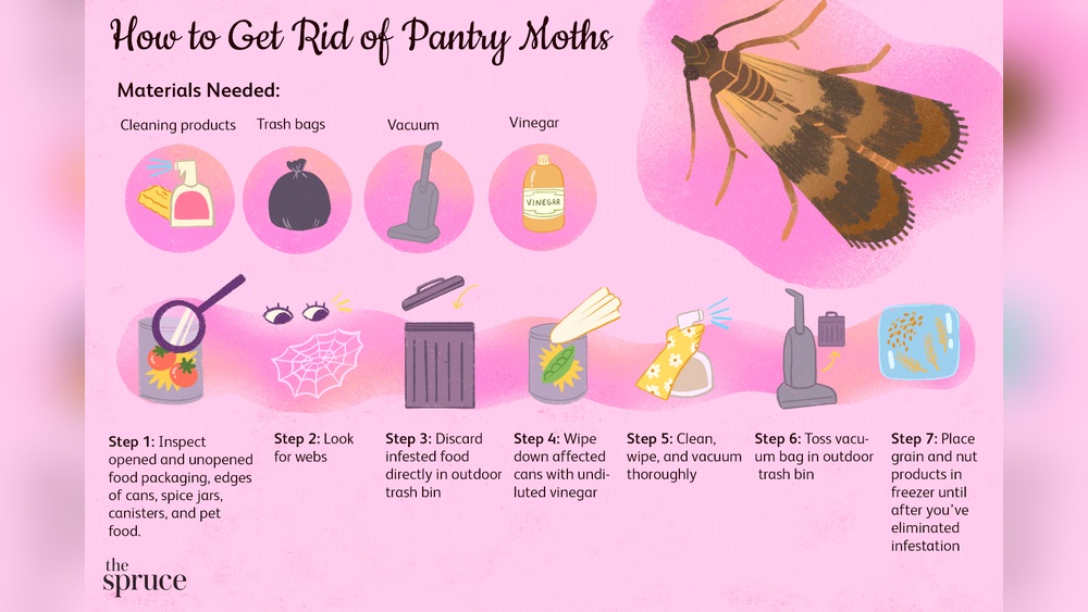 How to Get Rid of Moths in the Kitchen?